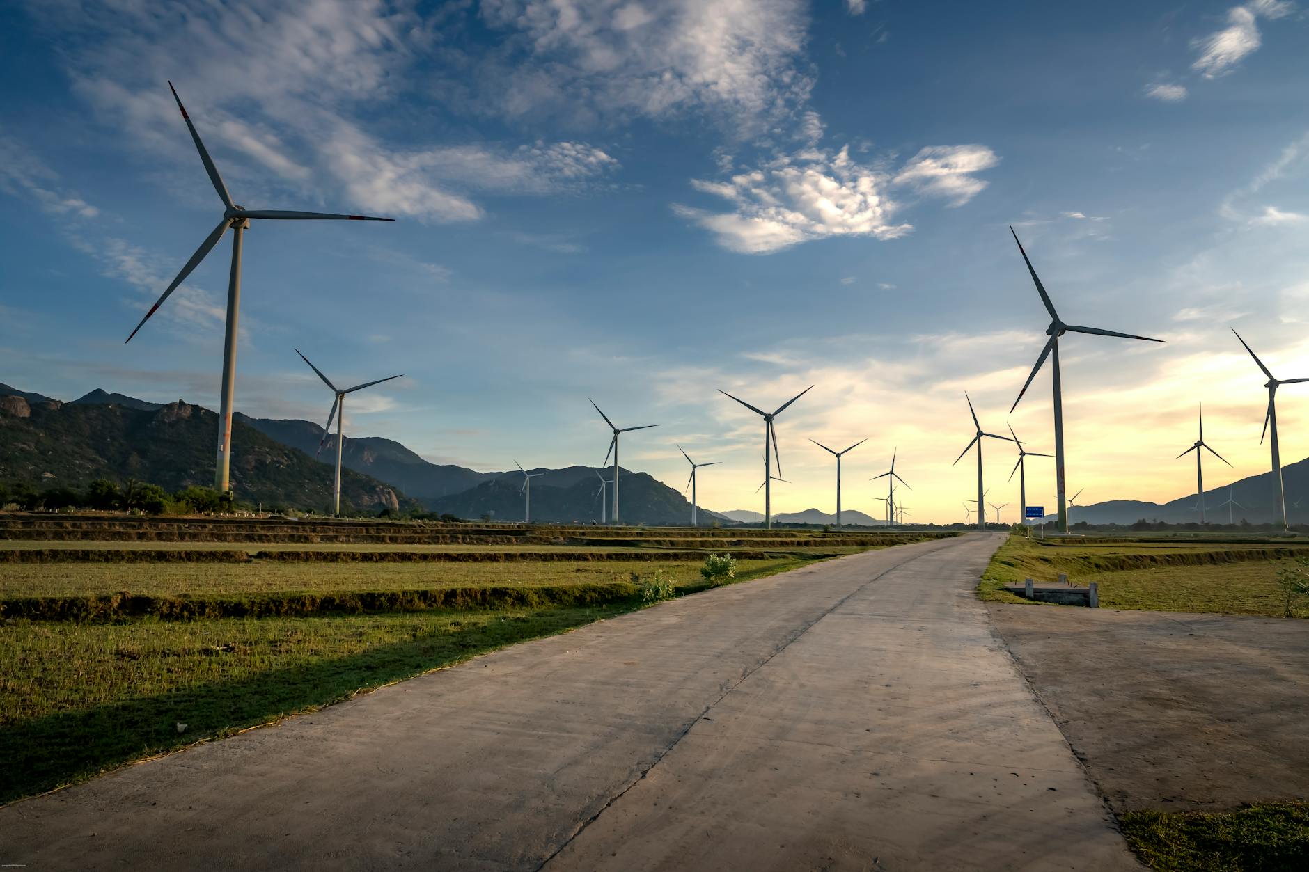Người dùng mở hồ sơ tài khoản trên điện thoại để chỉnh sửa tên hiển thị